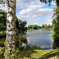 am-fischteich 51463423155 o