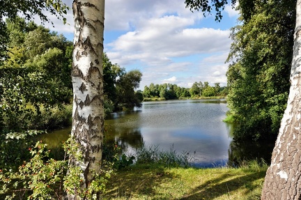 am-fischteich 51463423155 o