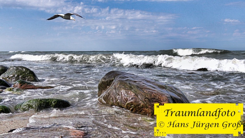 am-meer_51306041528_o.jpg