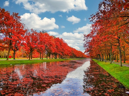 herbsttag 51659519410 o