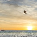 man-muss-schon-da-sein-bevor-man-angekommen-ist 51