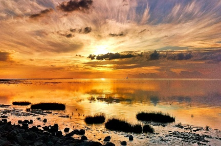 sonnenuntergang-am-wattenmeer 51564286198 o
