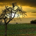 spaziergang-im-feld 50789573803 o