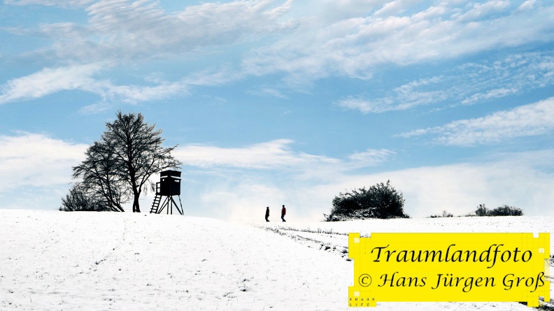 winterlandschaft_50824019926_o.jpg