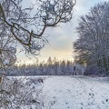 winterlandschaft 50862245611 o