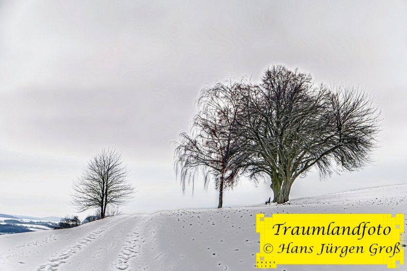 winterlandschaft_50862245736_o.jpg