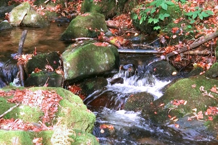 10-19