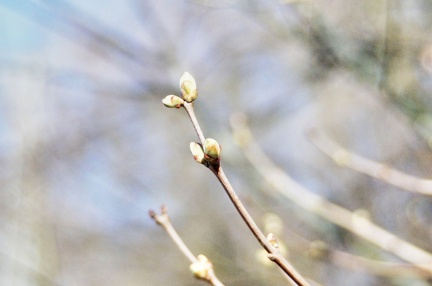02-01