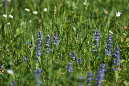 05-01