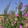 07-08