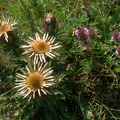 07-11