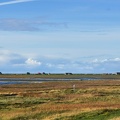 DSC00019-01