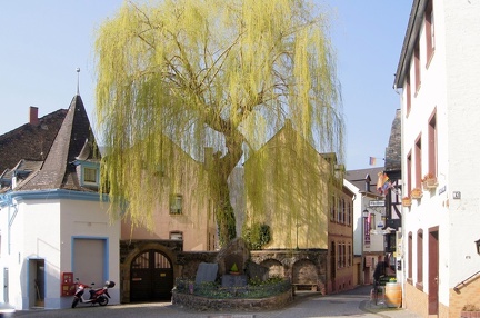 DSC00028-01-1