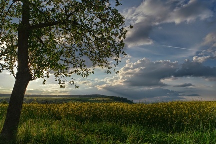 abendlicher-blick-ber-die-felder 17717751498 o