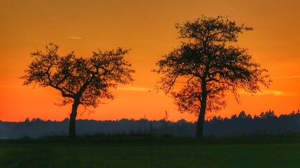 abendstimmung 22062020863 o