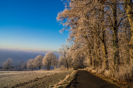 dezember-wunderland 30622437573 o