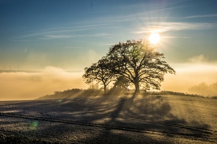 dezember-wunderland 31285197402 o