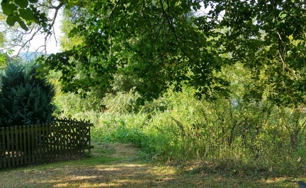 ein-schattiger-ort 29276874951 o