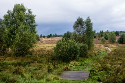 lneburger-heide 30199139592 o