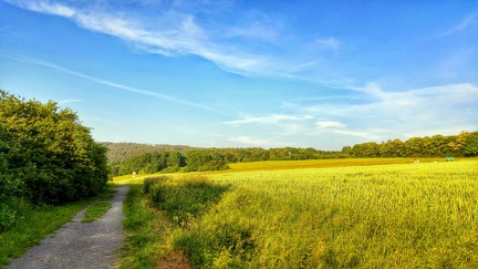 melsungen-im-frhling 27516887395 o
