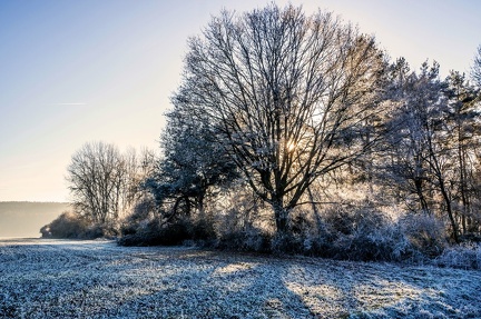 spaziergang-im-dezember 30586592604 o