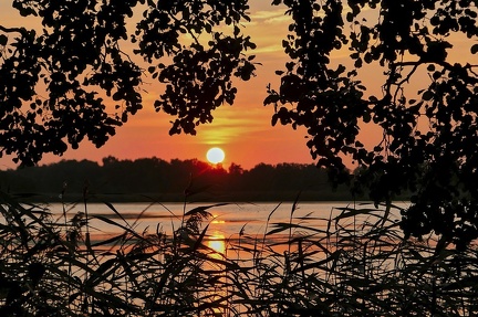 abend-am-rmlandteich 50389004021 o