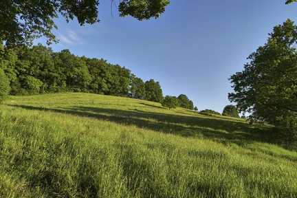 abendspaziergang 49928508783 o