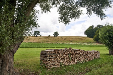 am-wegesrand 50261984386 o