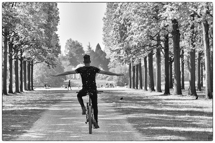 freihndig 49873627717 o