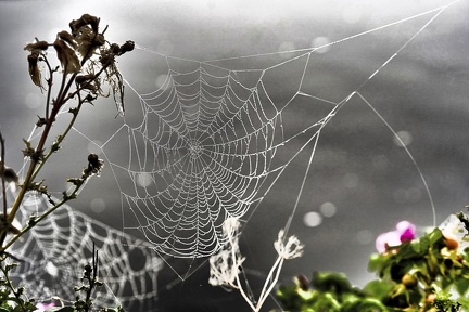 herbst-am-kanal 50492682748 o