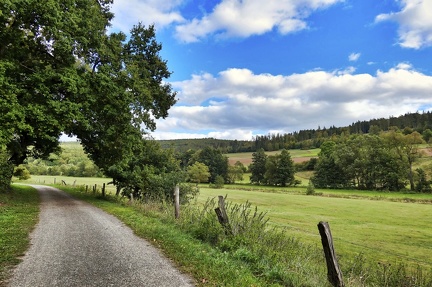 im-kehrenbachtal 50519187587 o