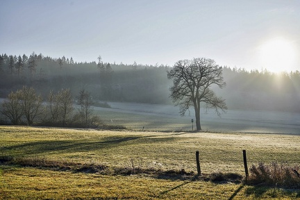 im-kirchhofer-grund 49315761051 o