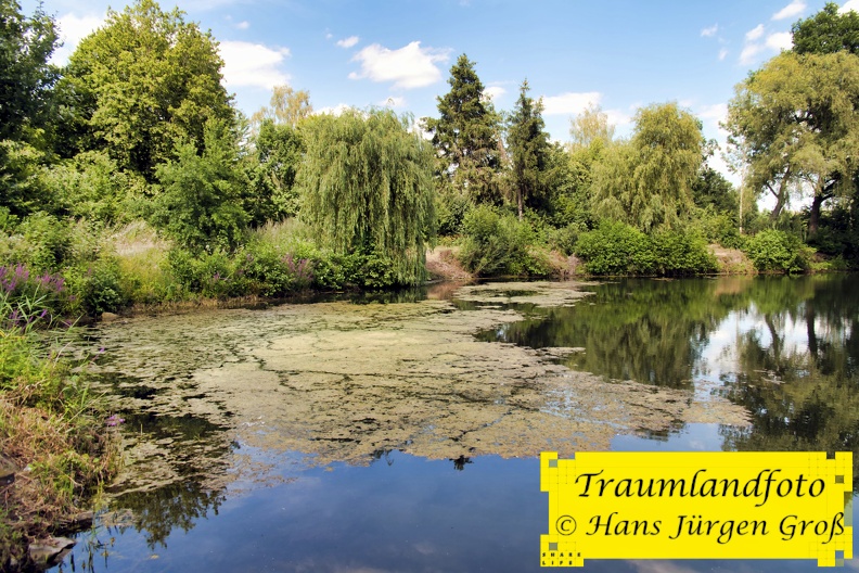 sommer-am-see_50171731518_o.jpg