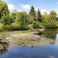 sommer-am-see 50171731518 o