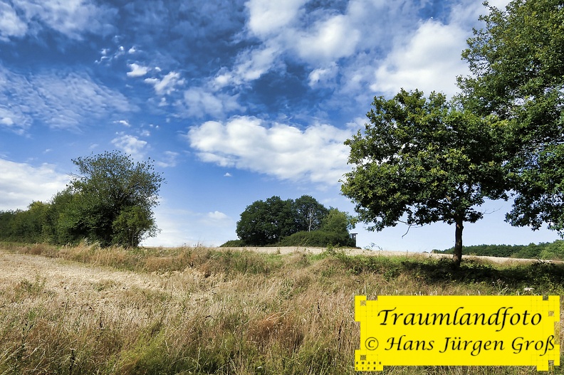 sommerlandschaft_50157498378_o.jpg