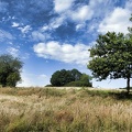 sommerlandschaft 50157498378 o