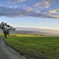 talblick 50731443298 o
