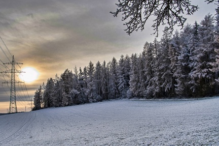 dezemberwald 52574304037 o