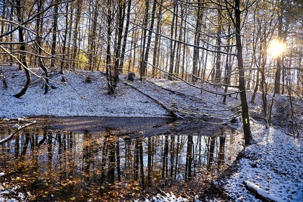 am-kleinen-waldsee 52516051891 o