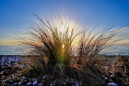 abend-am-strand 52157440210 o