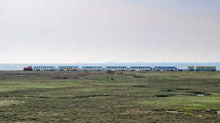 2023 (43)