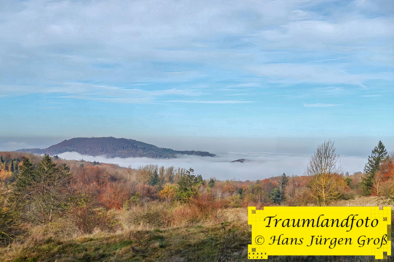 05.11.2024 17_5815.jpg