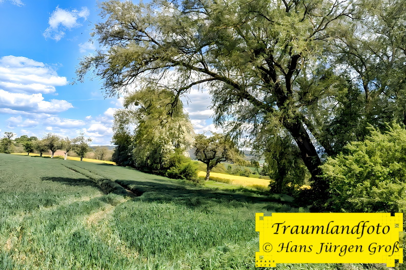 08.05.2024 14_2411.jpg