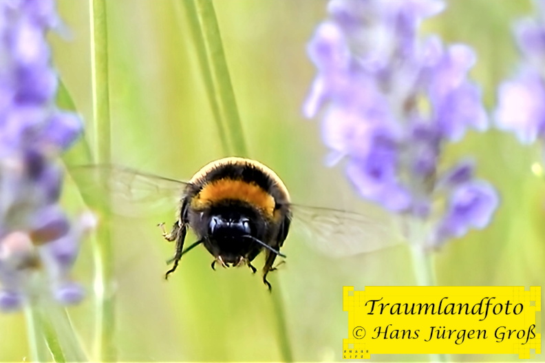 10.07.2024 14_0009.jpg