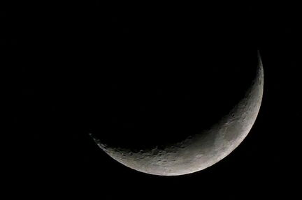 2025-03-03-P1000269-1-V2