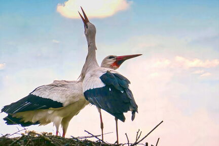 2025-03-11-2025-03-11-P1000441-1-V2