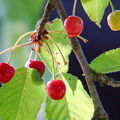 BILD0324-1-V2