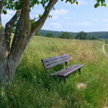 BILD0341-V2