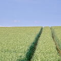 BILD0352-V2