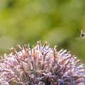 BILD1022-0004-V2-1 (1)-V2